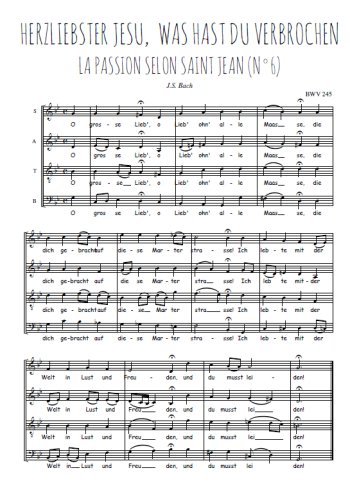 Herzliebster Jesu, was hast du verbrochen
